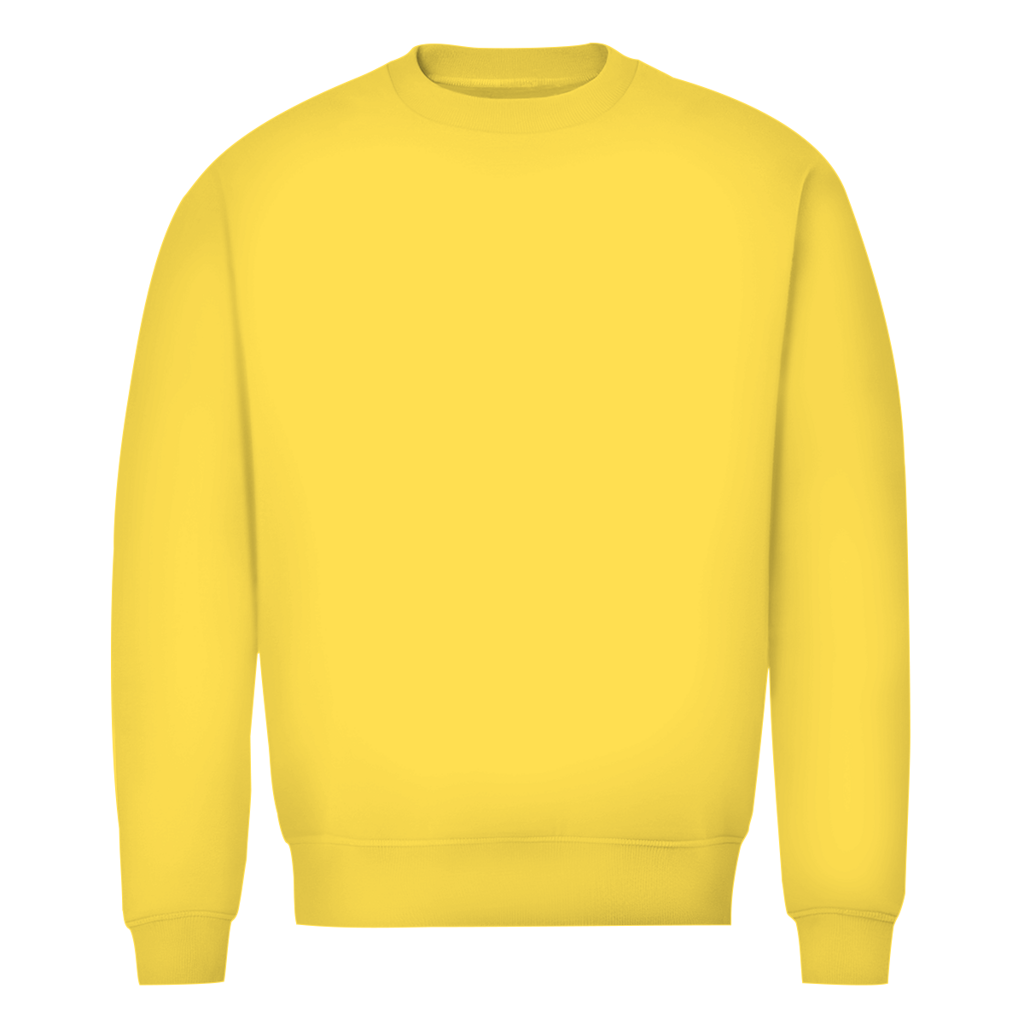Men's Premium Organic Sweatshirt - Bosnia | Design 01 | Back Print