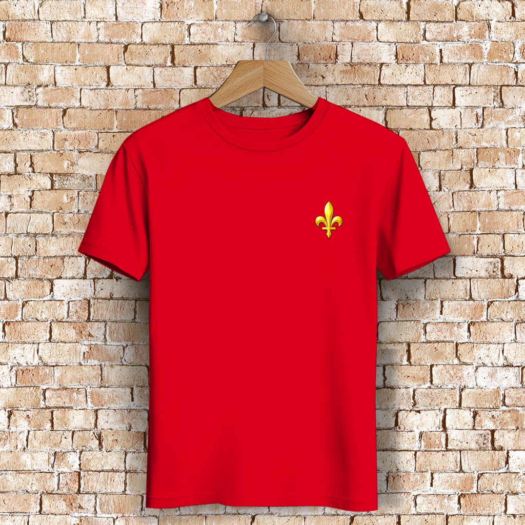 Men's Premium Organic T-Shirt - Bosnia | Liljan