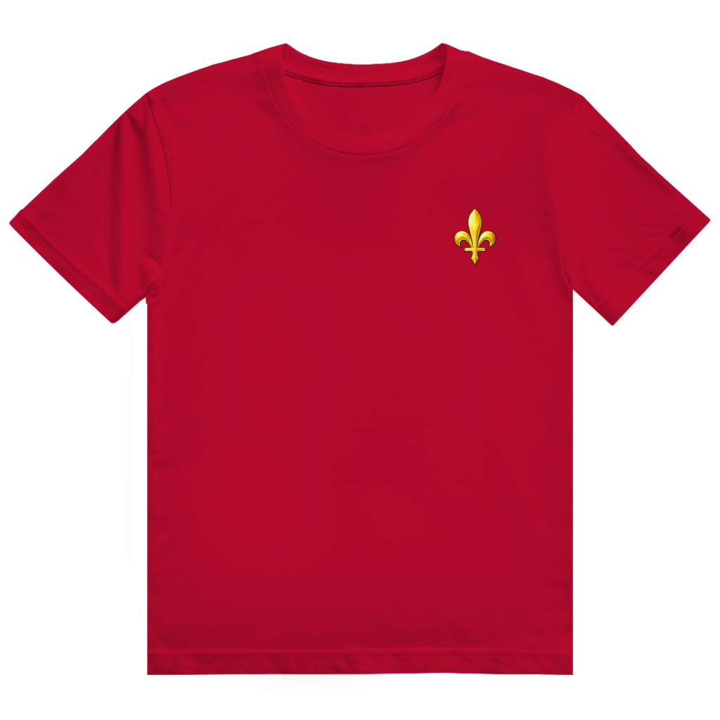 Men's Heavy Cotton T-Shirt - Bosnia | Ljiljan