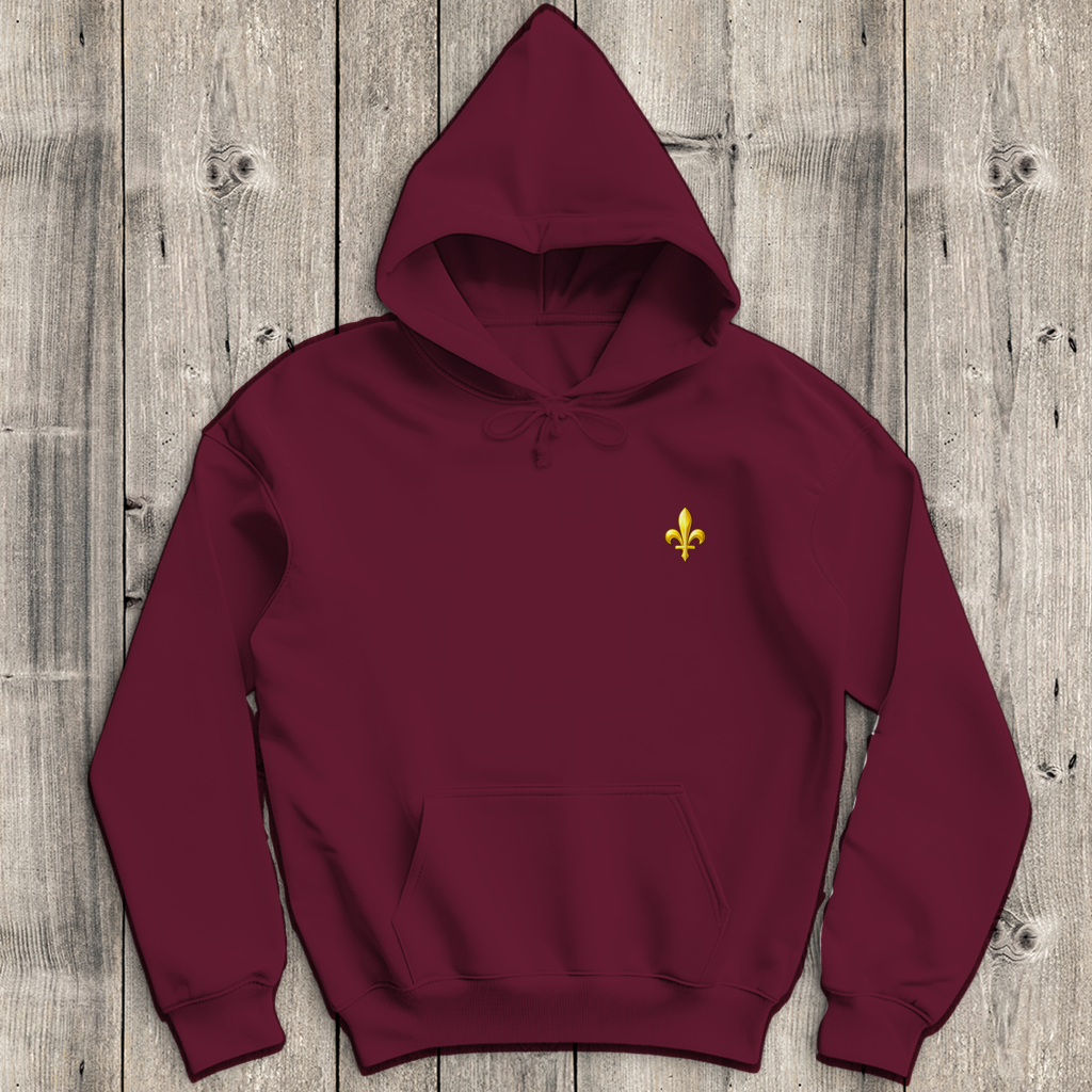 Men's Hoodie - Bosnia | Lily