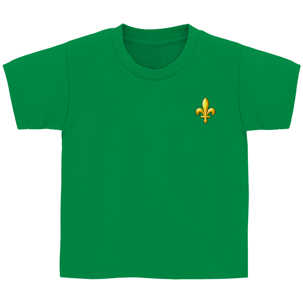 Kids Basic T-Shirt - Bosnia | Lily