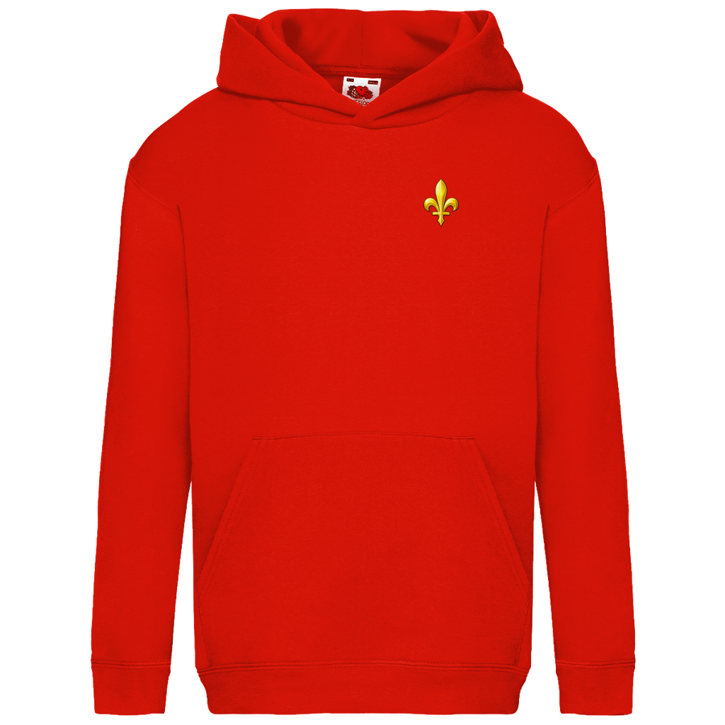 Kids Basic Hoodie - Bosnia | Lily