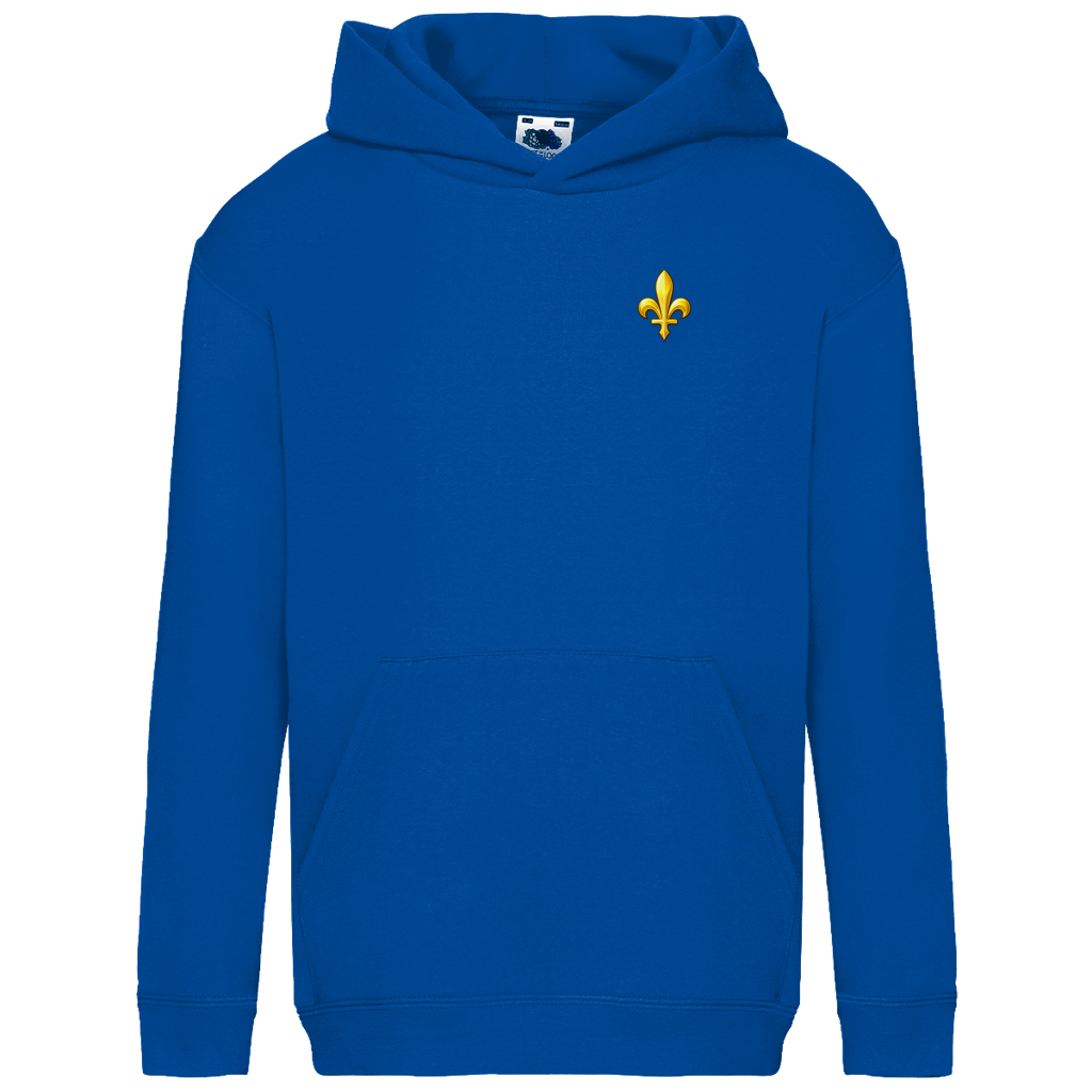 Kids Basic Hoodie - Bosnia | Lily