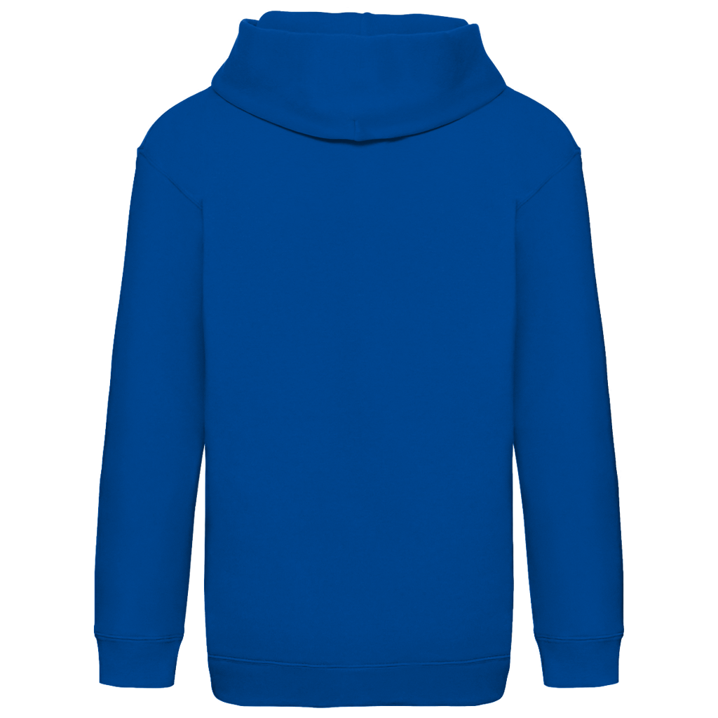 Kids Basic Hoodie - I don't sleep when Bosnia and Herzegovina plays | Frontprint