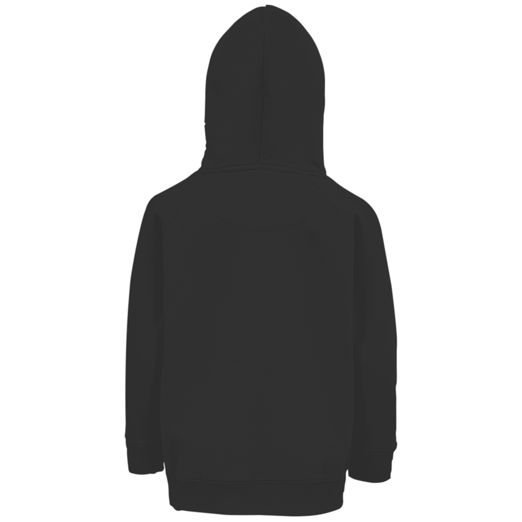Kids Premium Organic Hoodie - I don't sleep when Bosnia and Herzegovina plays | Front print