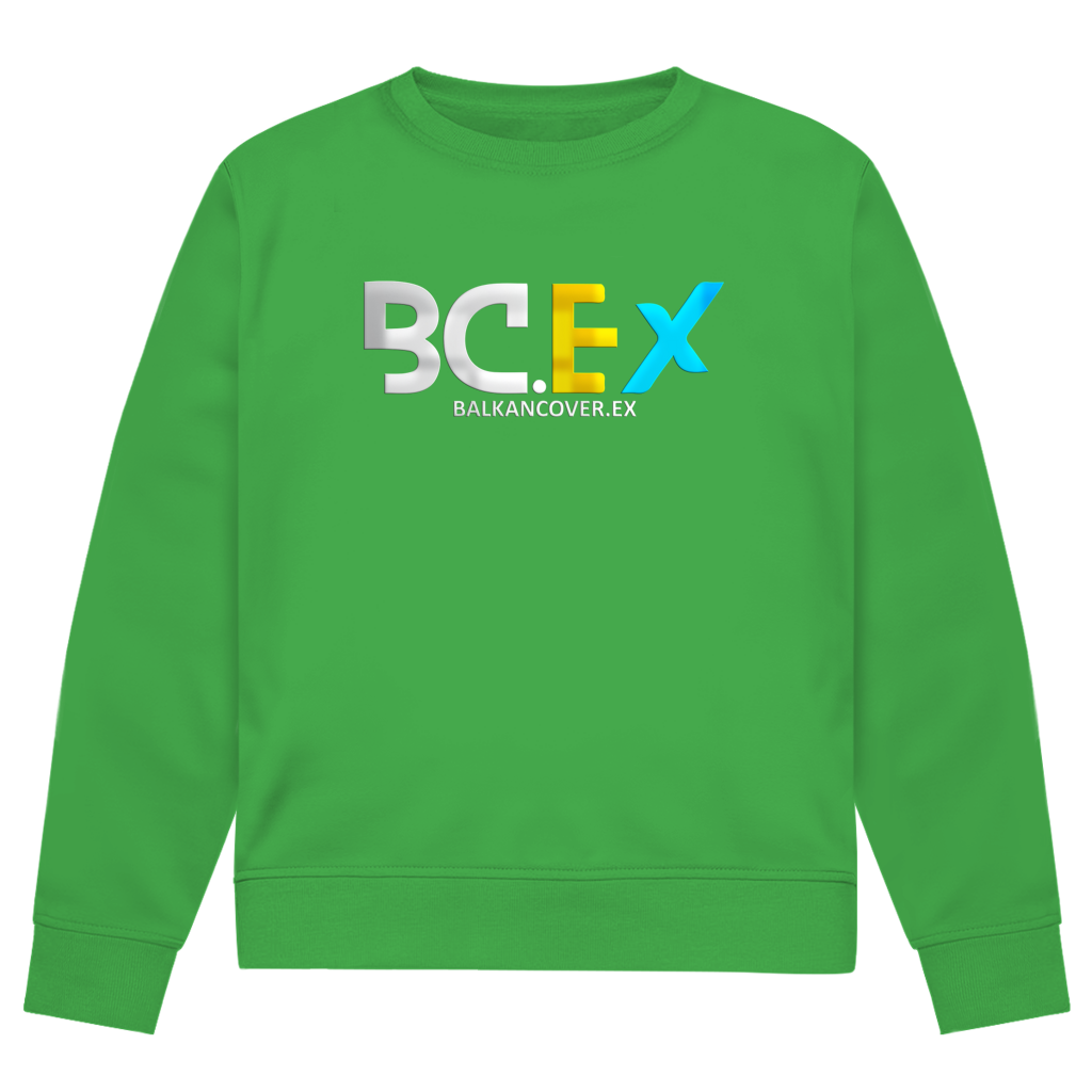 Herren Premium Bio Sweatshirt BCEX | Frontprint