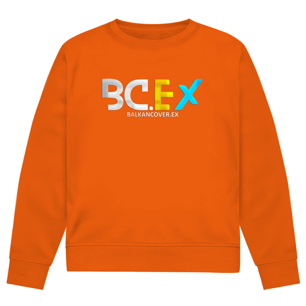 Herren Premium Bio Sweatshirt BCEX | Frontprint